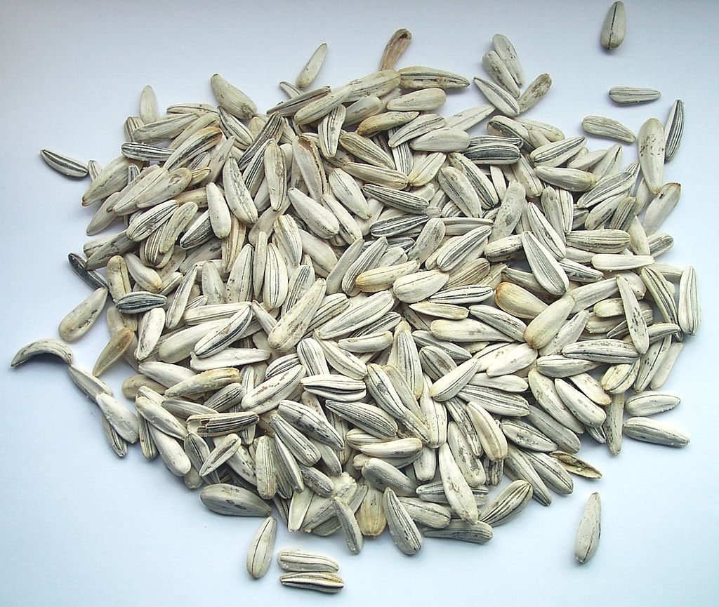 Sunflower seeds